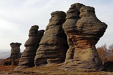 任天堂前总裁雷吉称Facebook并非创新公司