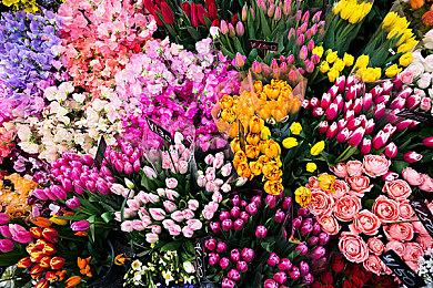 疑似《女神异闻录3：重制版》战斗片段遭泄露